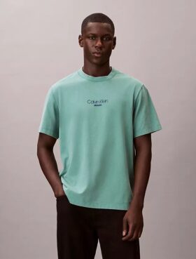 Acid Wash Logo Graphic Classic T-paita