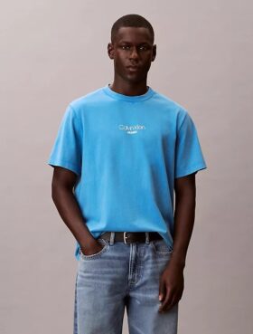 Acid Wash Logo Graphic Classic T-paita