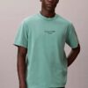 Acid Wash Logo Graphic Classic T-paita Acid Wash Logo Graphic Classic T-paita