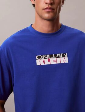 Block Logo Graphic Relaxed T-paita