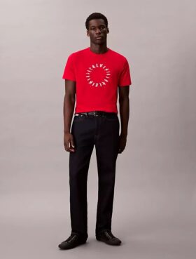 Circle Logo Graphic Classic T-paita