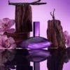 Euphoria Bold Elixir