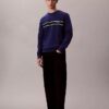 Fleece Stripe Classic -huppari Fleece Stripe Classic -huppari
