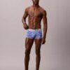 Harjattu Microfiber-materiaaliin perustuva joustava Low Rise Trunk-alushousu Harjattu Microfiber-materiaaliin perustuva joustava Low Rise Trunk-alushousu