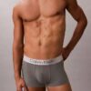 Harjattu Microfiber-materiaaliin perustuva joustava Low Rise Trunk-alushousu Harjattu Microfiber-materiaaliin perustuva joustava Low Rise Trunk-alushousu