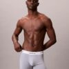 Icon Cotton Stretch 3-pack Boxer Brief