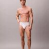 Icon Cotton Stretch 3-pack hip brief