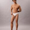 Icon Cotton Stretch 3-pack hip brief
