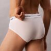 Icon Cotton Stretch 3-pack hip brief