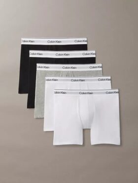 Icon Cotton Stretch 5-pack Boxer Brief