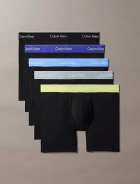 Icon Cotton Stretch 5-pack Boxer Brief