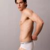 Icon Cotton Stretch Metallic 3-pack hip brief