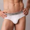 Icon Cotton Stretch Metallic 3-pack hip brief