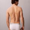 Icon Cotton Stretch Metallic 3-pack hip brief