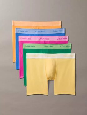 Icon Cotton Stretch Pride 5-pack Boxer Brief