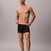 Icon Cotton Stretch Pride 5-pack Boxer Brief
