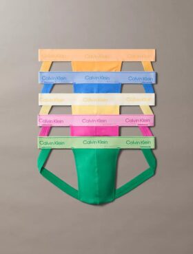 Icon Cotton Stretch Pride 5-pack jockstrap
