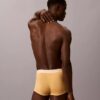 Icon Cotton Stretch Pride 5-pack Low Rise Trunk