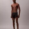 Icon Cotton Stretch -rajoitettu erä Boxer Brief