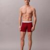 Icon Cotton Stretch -rajoitettu erä Boxer Brief