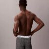 Icon Cotton Stretch -rajoitettu erä Boxer Brief
