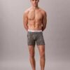 Icon Cotton Stretch -rajoitettu erä Boxer Brief
