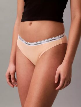Icon Logo -Bikini
