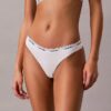Icon Logo -Thong