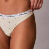 Icon Logo -Thong