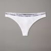 Icon Logo -Thong