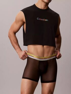 Icon Mesh Pride -Boxer Brief