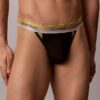 Icon Mesh Pride Thong -stringit