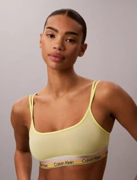 Icon Mesh Pride -Unlined Bralette
