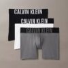 Intense Power Micro 3-pack Boxer Brief