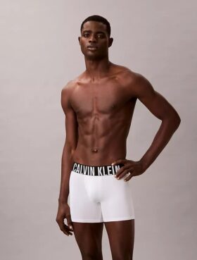 Intense Power Micro 3-pack Boxer Brief