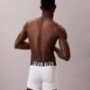 Intense Power Micro 3-pack Boxer Brief