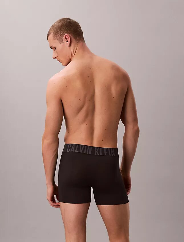 Intense Power Micro 3-pack Boxer Brief Intense Power Micro 3-pack Boxer Brief