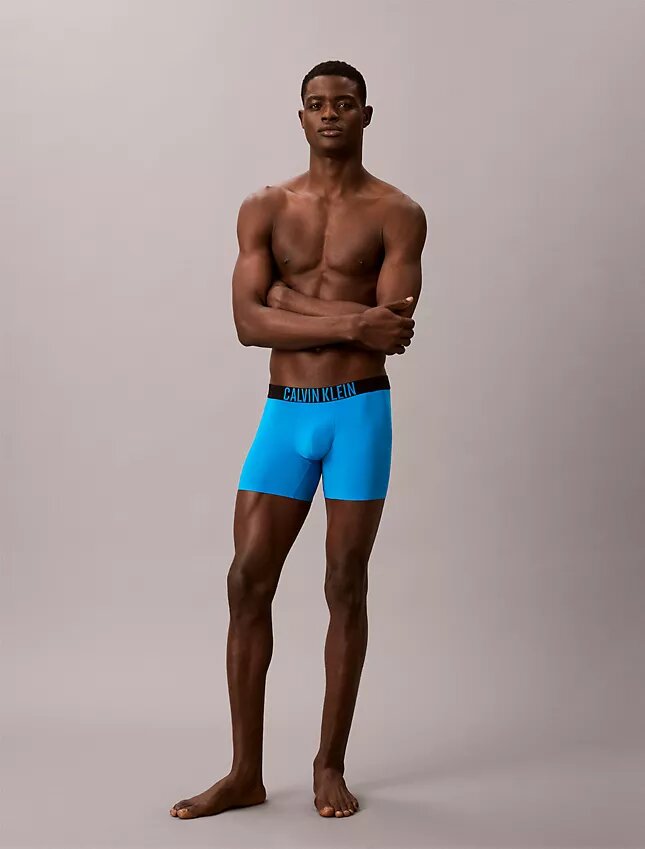 Intense Power Motion -Boxer Brief Intense Power Motion -Boxer Brief