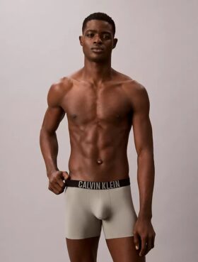Intense Power Motion -Boxer Brief
