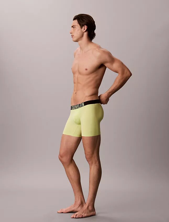Intense Power Motion -Boxer Brief Intense Power Motion -Boxer Brief