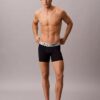 Mikrokuituiset joustavat teräksiset Boxer Briefit Mikrokuituiset joustavat teräksiset Boxer Briefit