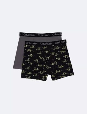 Pojat Cotton Stretch 2-pakkaus Boxer Briefeja