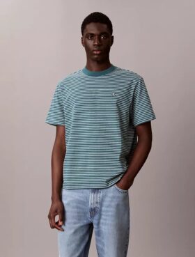 Stripe Relaxed T-paita
