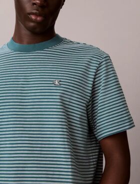 Stripe Relaxed T-paita