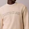 Varsity-logolla varustettu fleece-huppari Varsity-logolla varustettu fleece-huppari