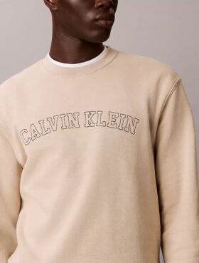 Varsity-logolla varustettu fleece-huppari