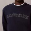 Varsity-logolla varustettu fleece-huppari Varsity-logolla varustettu fleece-huppari